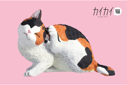 猫の日は猫三昧♪ サバトラや三毛猫、カイカイしてる姿が癒やし～♪ カプセルトイが新登場 画像