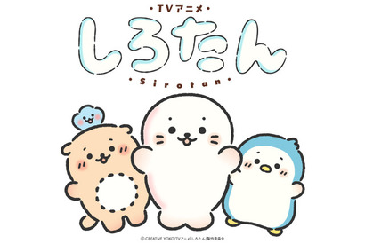 「しろたん」TVアニメ化&26年秋より放送！しろたん役は悠木碧 ティザービジュアル&PV公開 画像