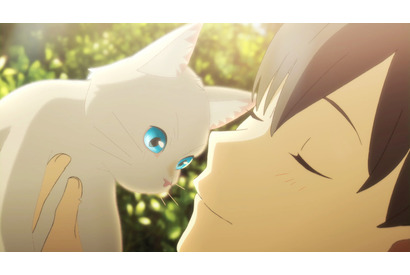 「泣きたい私は猫をかぶる」喜多村英梨、三木眞一郎ら演じる猫たちや、秘密の“猫島”をおさめた特別映像が公開 画像