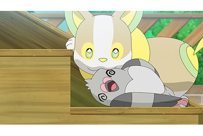 ワンパチがやきもち!? TVアニメ『ポケットモンスター』7月19日放送のあらすじ・場面カットを紹介 画像
