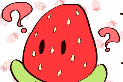 Strawberry Dream（38）オーディション？ 画像