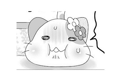 【にゃんコレ】(23)横幅出た！ 画像