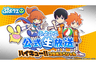 コラボ続々！「ぷよクエ公式生放送～ハイキューコラボスペシャル～」発表情報まとめ【レポート】 画像