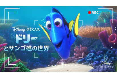 ASMR作品「ドリーとサンゴ礁の世界」が登場! 「Disney+」配信ラインナップが一挙発表 画像