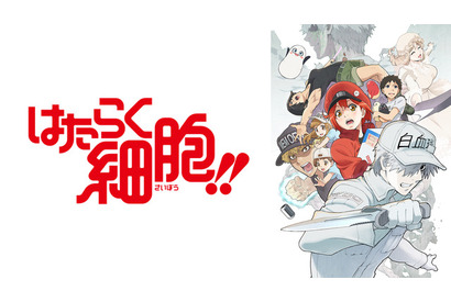 「はたらく細胞!!」「五等分の花嫁∬」…21年冬アニメに追いつこう！ ABEMA無料配信 画像