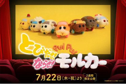「とびだせ！ならせ！ PUI PUI モルカー」モルカーたちが“プイプイ”大騒ぎ！予告編が到着 画像