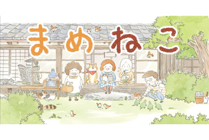ゆるふわなねこライフを描くTVアニメ「まめねこ」、2018年1月より放送開始! 画像