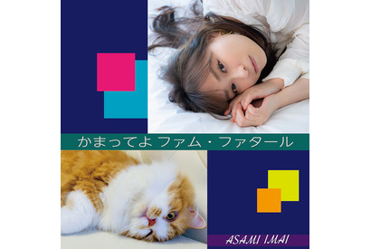 今井⿇美、完全オリジナルニューアルバム収録曲を4カ月に渡り先行配信！第三弾は飼い猫をテーマにしたポップなナンバー 画像