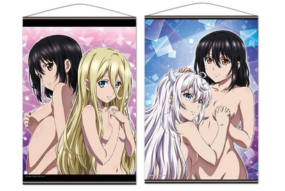 肌色の多い攻めたイラストを使用！さすがストブラ!! OVA『ストライク・ザ・ブラッドFINAL』のグッズが登場 画像