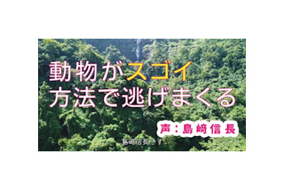 トヨタ自動車 WEB 限定動画で島﨑信長がゾウやバクを熱演!?「動物の逃げ方」紹介動画公開！ 画像