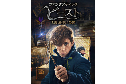 「ファンタスティック・ビースト」今夜から2週連続「金ロー」で放送！「ハリー・ポッター」の“共通点”を紹介 画像