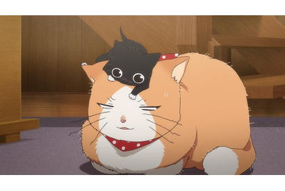 【インタビュー】『鹿楓堂よついろ日和』中尾椿役の山下大輝＆きなこ役の天﨑滉平、米森裕人プロデューサーが語る作品の魅力 – 『鹿楓堂』は最後まで『鹿楓堂』 画像