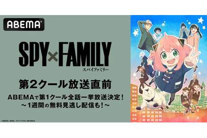 「SPY×FAMILY」第2クール、10月1日より「ABEMA」で無料放送スタート！ 第1クールの一挙放送も 画像