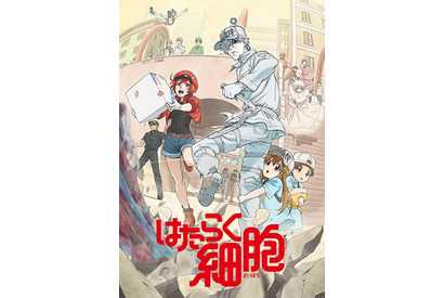 『はたらく細胞』が1位! 2位はアニメディアの表紙にもなったあの人気作 – U-NEXT、2018年7月度の「見逃しアニメランキング」発表 画像