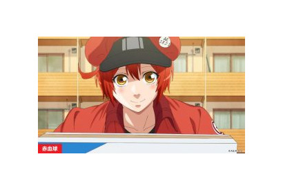 TVアニメ『はたらく細胞』より教育機関・医療施設等の関係者へ向けて「はたらく細胞」素材無償提供を開始！ 画像