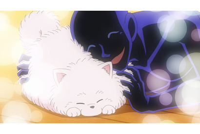 秋アニメ「名探偵コナン 犯人の犯沢さん」ペットショップで出会った“もふもふ”にメロメロ♪第8話先行カット 画像
