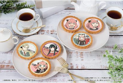 「SPY×FAMILY」アーニャの“よゆうのえみ”をパクリ♪ タルトが登場 画像