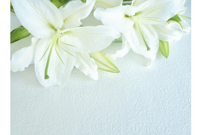 スタジオぴえろ創業者・布川郁司さんが死去「うる星やつら」や「おそ松さん」など手掛ける 画像