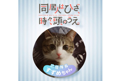 2019年1月TVアニメ『同居人はひざ、時々、頭のうえ。』の応援隊長が“猫のすずめちゃん”に決定！ 画像