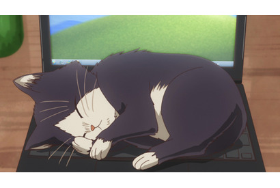 素晴は同居猫に名前をつけることに…TVアニメ『同居人はひざ、時々、頭のうえ。』第2話あらすじ＆先行カットが到着！ 画像