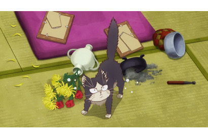 空中を見つめるハルの視線の先には何が…TVアニメ『同居人はひざ、時々、頭のうえ。』第3話あらすじ＆先行カットが到着！ 画像