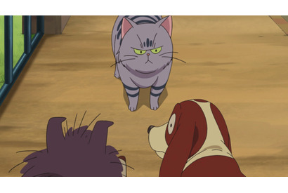 名探偵シャーロ！？殺犬事件の謎を追え！TVアニメ『レイトン ミステリー探偵社 ～カトリーのナゾトキファイル』第42話あらすじ＆先行カットが到着 画像