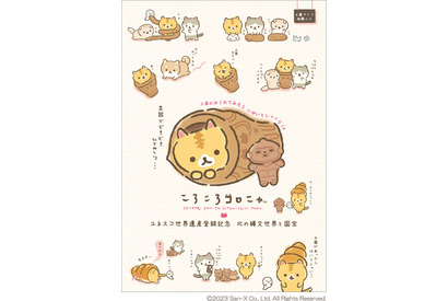 サンエックス「ころころコロニャ」が“名誉学芸ニャん（員）”に！ 北海道博物館の特別展「北の縄文世界と国宝」とコラボ 画像