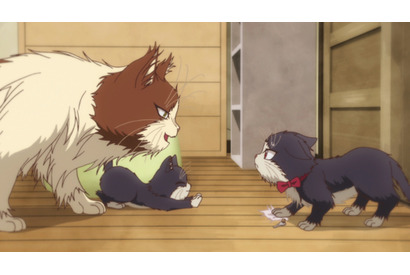 個性的すぎる猫、続々登場！TVアニメ『同居人はひざ、時々、頭のうえ。』第6話あらすじ＆先行カットが到着 画像