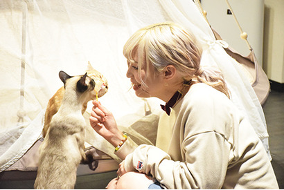 『同居人はひざ、時々、頭のうえ。』猫カフェイベントで明かされる制作秘話ー猫視点のBパートでは赤みを抑えた絵作りに【レポート】 画像