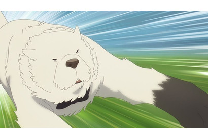 秋アニメ「SPY×FAMILY」ボンドが猛ダッシュ！ アーニャは怪しい笑みを浮かべ… 第37話先行カット 画像