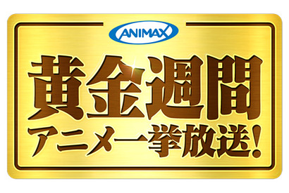 ゴールデンウイークもアニメ三昧！　アニマックスで『ルパン三世VS名探偵コナン』『機動戦士ガンダム』『頭文字D』などのヒット作を10日間ぶち抜き一挙放送！ 画像