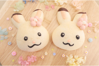 「シルバニアファミリー」さつえい会からグルメ体験やクラフト体験まで！ 茨城県「シルバニアパーク」でスプリングフェスタ2024開催 画像