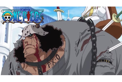 奴隷にされたくまーー世界政府の仕打ちにサボ激怒！TVアニメ『ワンピース』第888話予告カット＆あらすじを紹介 画像