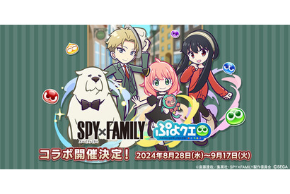 「SPY×FAMILY」アーニャ、ロイド、ヨルら録りおろしボイスも！パズルRPG「ぷよクエ」内でコラボ開催 画像