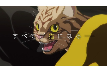猫に触ると猫にニャる!? 「ニャイト・オブ・ザ・リビングキャット」」総監督はバイオレンスの巨匠・三池崇史！ “次はあなたがネコです。” 画像