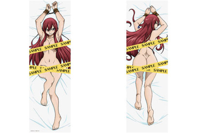 恥じらうルーシィ、囚われのエルザ、キュートなメイビスーーどれがお好み！？TVアニメ『FAIRY TAIL』抱き枕カバーシリーズ始動！ 画像