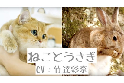 竹達彩奈「なんだか撫でてほしい気分だにゃ～ん」！？「CV部」第二弾に竹達彩奈が登場、車・ねこ・うさぎの動画に勝手にアテレコ？ 画像