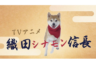 リアル犬キャストによる時代劇開幕？！ TVアニメ『織田シナモン信長』全編実写ティザーPV解禁！ 中尾隆聖犬ら追加キャストも発表 画像