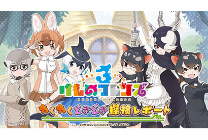 新たなフレンズのアルパカ・ワカイヤとオオタカが登場！　「けものフレンズ３ わくわくドキドキ探検レポート」#2.0発表情報まとめ【レポート】 画像