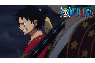 One Piece 超 アニメディア
