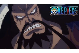ワンピース 超 アニメディア