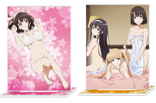 冴えない彼女の育てかた 超 アニメディア