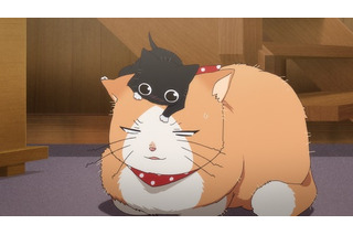 鹿楓堂よついろ日和 | 超！アニメディア