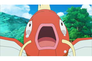 ポケモン 超 アニメディア
