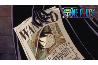 One Piece 超 アニメディア