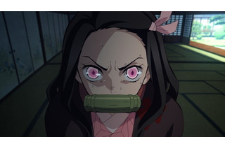 鬼滅の刃 超 アニメディア