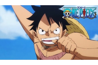 One Piece 超 アニメディア
