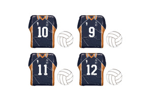 「ハイキュー!!」鳥野高校ウェア&バレーボールのアルミ巻きチョコが登場!ヒナガラス型ケースも 画像