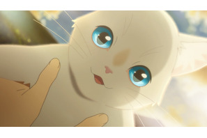 「泣きたい私は猫をかぶる」Netflixでの配信が決定、主演の志田未来・花江夏樹と監督の佐藤順一・柴山智隆からコメントが到着 画像