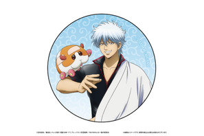 「銀魂」×「PUI PUI モルカー」がコラボ！“かもしれない運転でいけ”描き下ろしグッズ登場のPOP UP STORE開催 画像